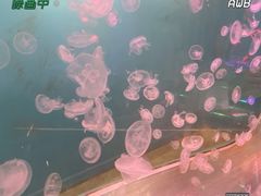 -多彩贵州城极地海洋世界