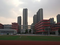 -合肥市南门小学(森林城校区)