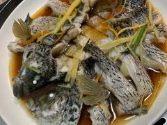 珍珠斑鱼-蔚海之都·象山蒸汽海鲜(仙霞路店)