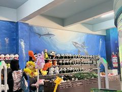 -泉州海丝野生动物世界