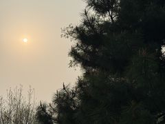 -莫子山公园