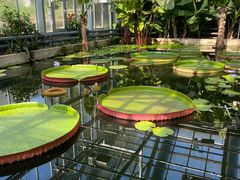 -国家植物园南园