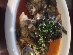 鸦片鱼-橄榄季酒店