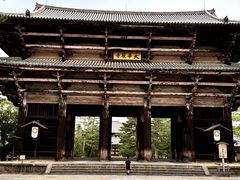 -奈良公园
