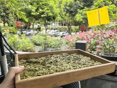 -阿巧茶庄