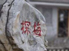 -无锡梅园公园