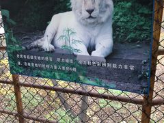 -哈尔滨北方森林动物园