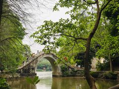 -深圳仙湖植物园