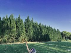 -汉长安城未央宫国家考古遗址公园