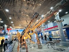 -国家自然博物馆