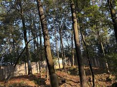 -中国大熊猫保护研究中心雅安碧峰峡基地