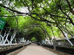 -烟台山景区