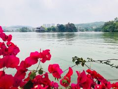 -惠州西湖丰渚园