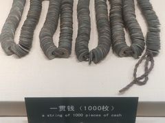 -青岛市博物馆