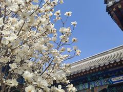 -护国法轮寺