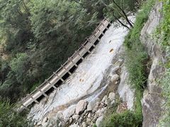 -少华山国家森林公园
