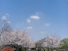 -相门城墙文化休闲景区
