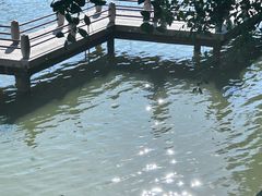 -珠海圆明新园