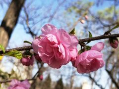 -玲珑塔公园