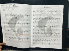 -大象音乐·吉他·架子鼓·声乐(双井店)