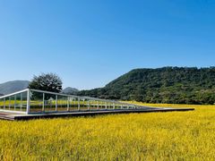 -风云岭森林公园