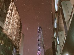 -琴岛之星摩天轮