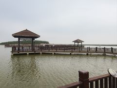 -南大港湿地风景区