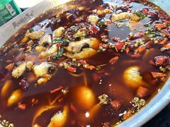 -周姑娘不等味·牛羊肉火锅·螃蟹罗氏虾·烤鱼烤串(高邮店)