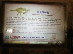 -自贡恐龙博物馆