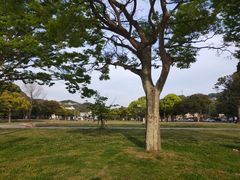 -西海国立公园九十九岛水族馆