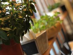 -Cafe Alice咖啡爱丽丝(奥城店)