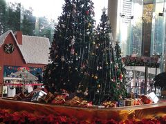 -成都世纪城假日酒店-西楼