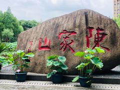 -陈家山荷花公园