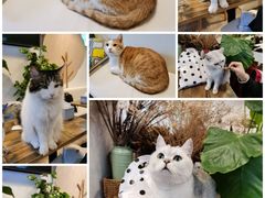 -小时光咖啡馆(北锣鼓巷店)