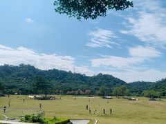 -风云岭森林公园