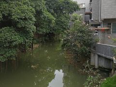 -小洲村