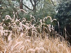 -西湖风景区-江洋畈生态公园