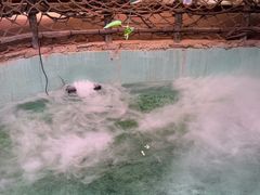 -正佳雨林生态植物园