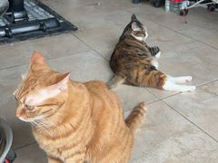 -新荟城(望京店)