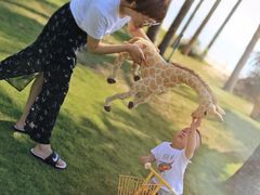 -味餐厅·海鲜·火锅·自助餐