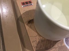 -吉野家(复兴路第二餐厅店)