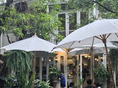 -Fern Forest Cafe