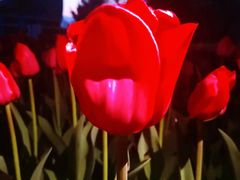 -长春公园(普阳街道)