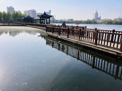 -莲花池公园