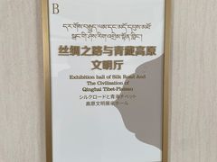 -青海藏文化博物院