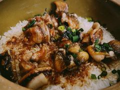 -红星光发煲仔饭(文海店)