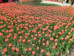 -长春公园(普阳街道)