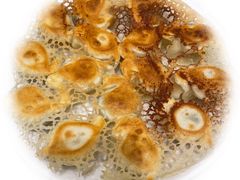 鮮鮁魚煎餃-双井轩(双井店)