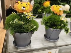 -鹿岛生活(熙地港店)