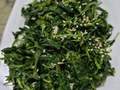 凉拌苜蓿-范记靖远羊羔肉(博物馆店)